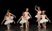 Gala de danse classique juin 2026